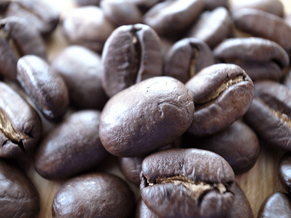 カメルーンコーヒー豆