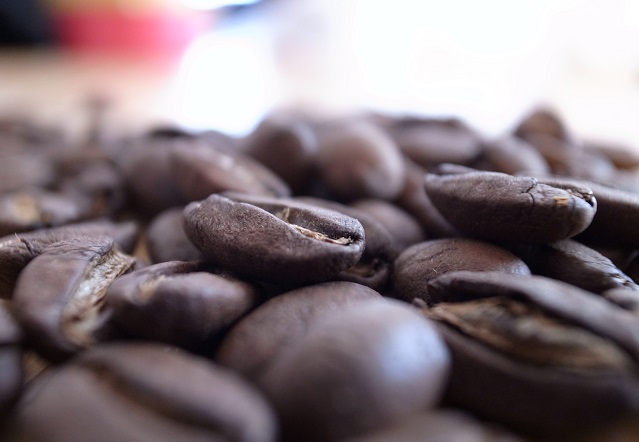 ニカラグアコーヒー豆写真１