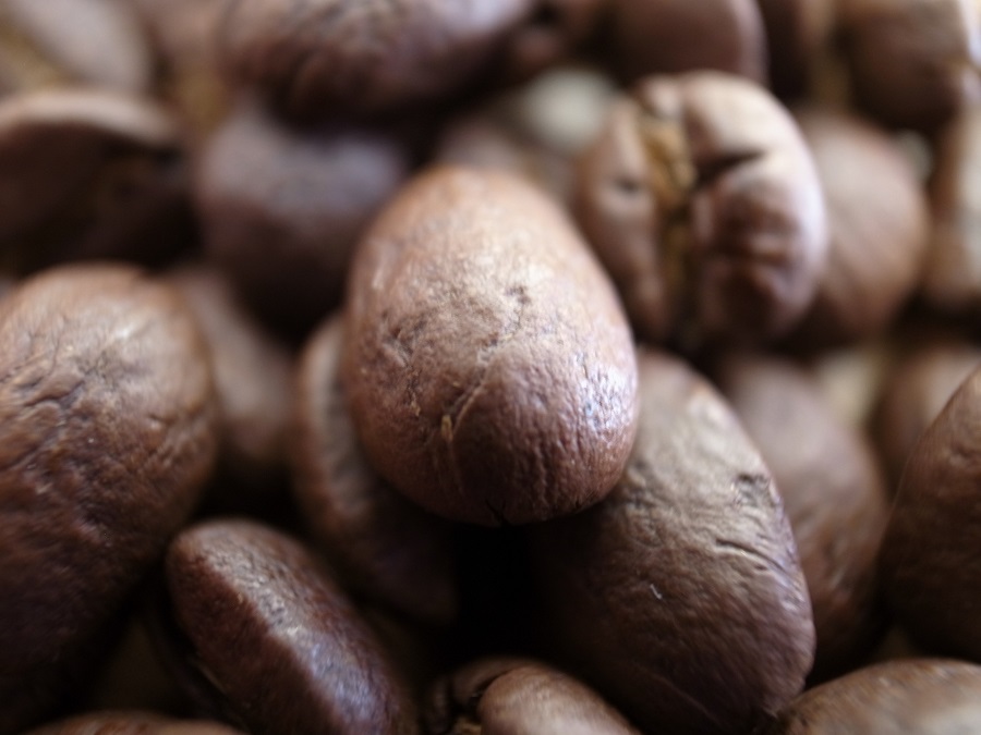 タンザニアコーヒー豆