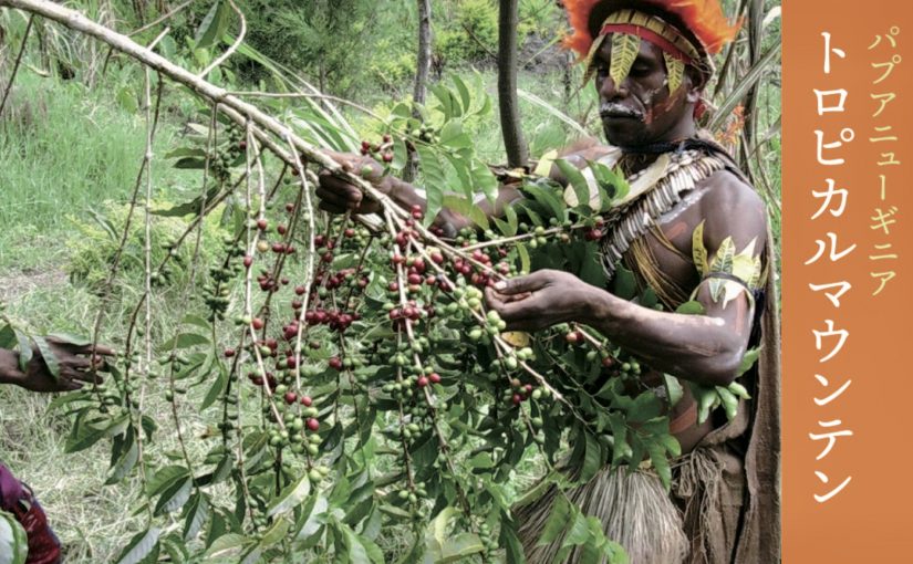 パプアニューギニア　トロピカルマウンテン〜2020年9月限定コーヒーご案内