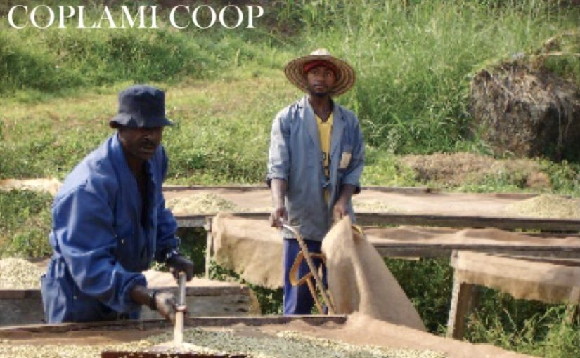 カメルーン　カプラミ農協ジャワ〜2021年2月限定コーヒー