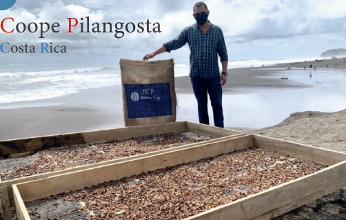 コスタリカ　海の味のする珈琲　ピランゴスタ農協〜2021年8月限定コーヒー