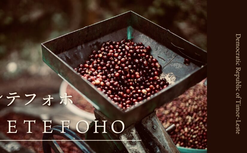 世界で一番新しい国のコーヒー　宣教師とSHOGUN〜東ティモール　レテフォホ（2024年5月限定コーヒー）