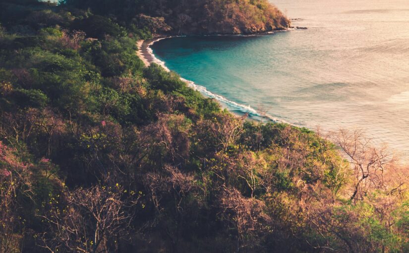 コスタリカの新しい覚悟：チリポ山塊で出会った甘さと優雅さの革命　2025年11月限定コーヒー 「ロス・モンへ農園」(コーヒートラベラーNの手記10)